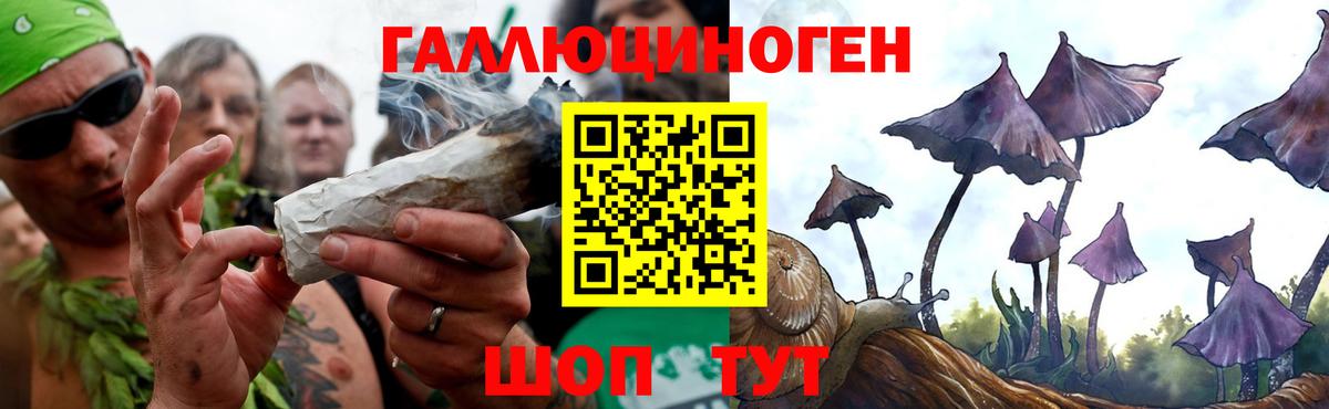 Галлюциногенные грибы Psilocybe  Вход с VPN  Галлюциногенные грибы Magic Shrooms  Прохладный 