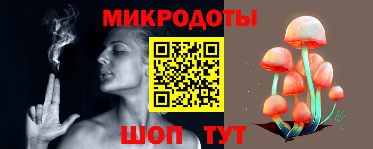 Псилоцибиновые грибы Cubensis Прохладный